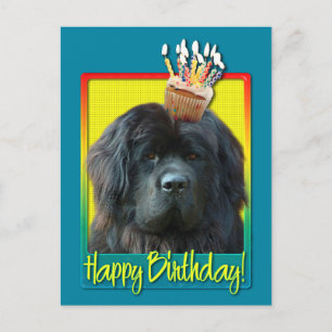 Birthday Cupcake - Newfoundland Postcard