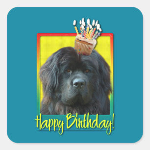 Birthday Cupcake - Newfoundland Square Sticker