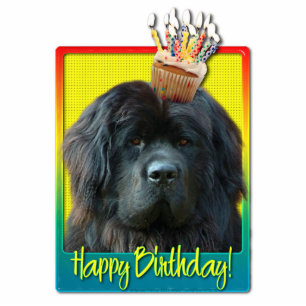 Birthday Cupcake - Newfoundland Standing Photo Sculpture
