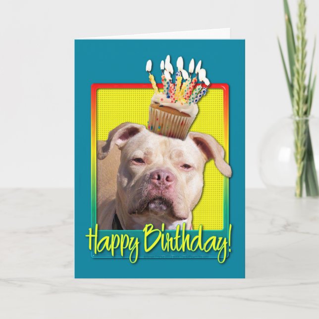 Birthday Cupcake - Pitbull - Jersey Girl Card (Front)