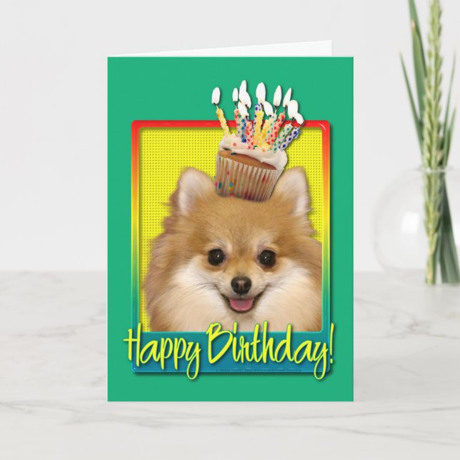 Birthday Cupcake Pomeranian Card (Front)