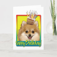 Birthday Cupcake - Pomeranian