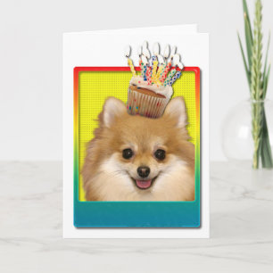 Birthday Cupcake - Pomeranian Card