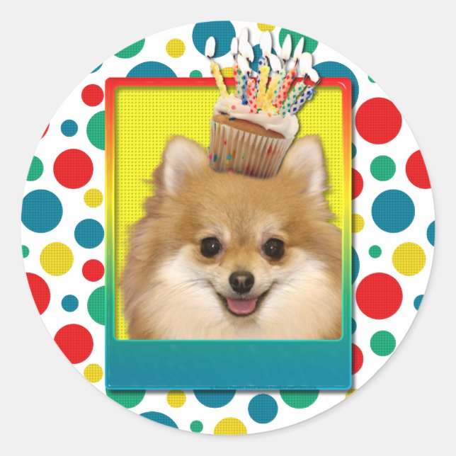 Birthday Cupcake - Pomeranian Classic Round Sticker (Front)
