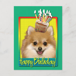 Birthday Cupcake Pomeranian Postcard
