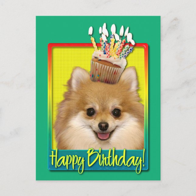 Birthday Cupcake Pomeranian Postcard (Front)