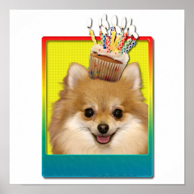 Birthday Cupcake - Pomeranian Poster (Front)