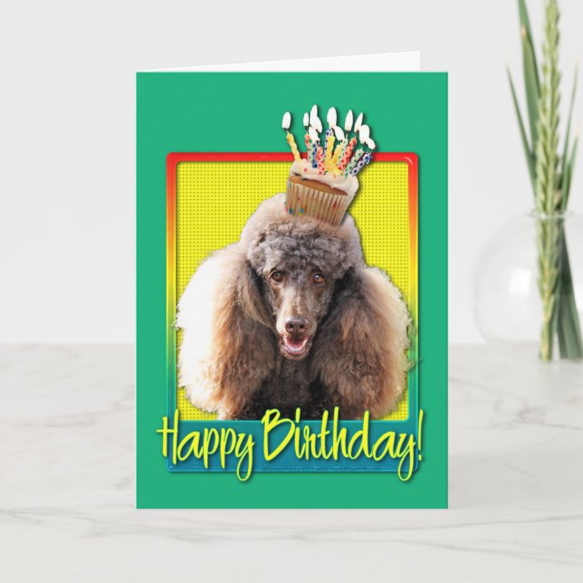 Birthday Cupcake - Poodle - Chocolate Card (Front)