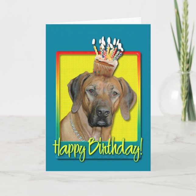 Birthday Cupcake - Rhodesian Ridgeback Card (Front)