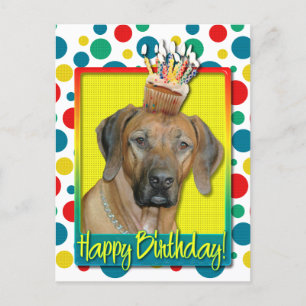 Birthday Cupcake - Rhodesian Ridgeback Postcard