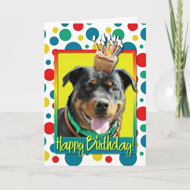 Birthday Cupcake - Rottweiler - SambaParTi Card (Front)