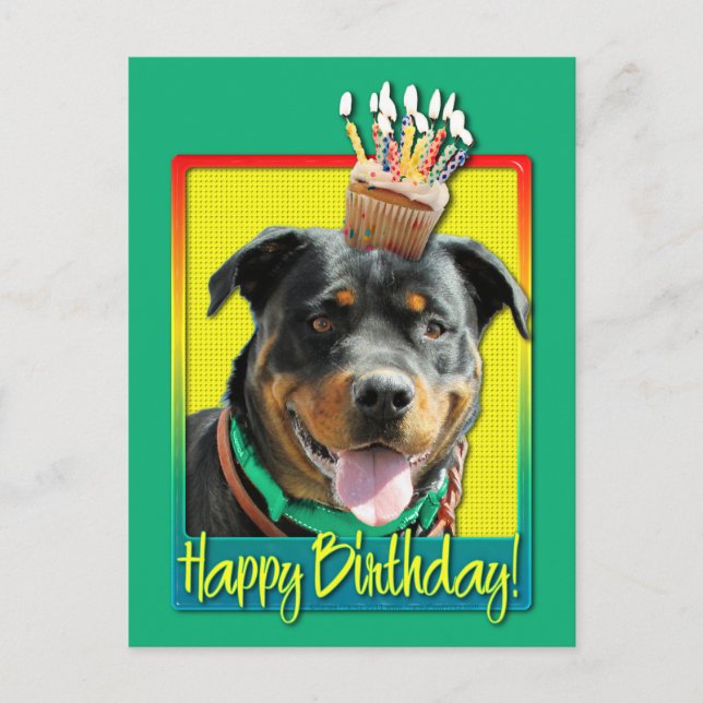 Birthday Cupcake - Rottweiler - SambaParTi Postcard (Front)