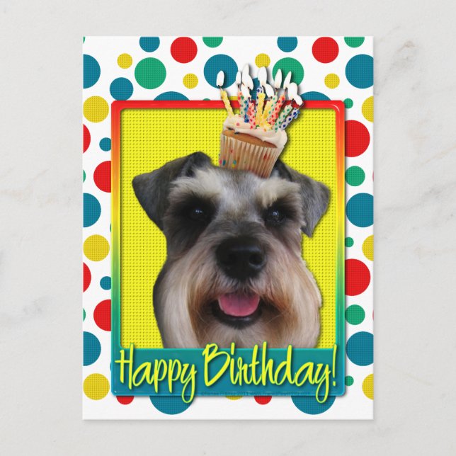 Birthday Cupcake - Schnauzer Postcard (Front)