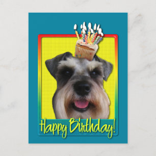 Birthday Cupcake - Schnauzer Postcard