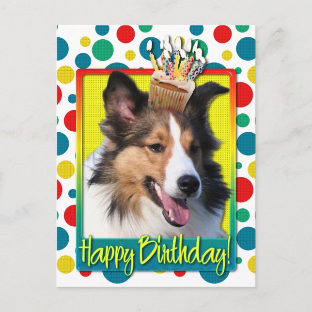 Birthday Cupcake - Sheltie Postcard (Front)