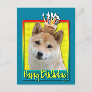 Birthday Cupcake - Shiba Inu Postcard