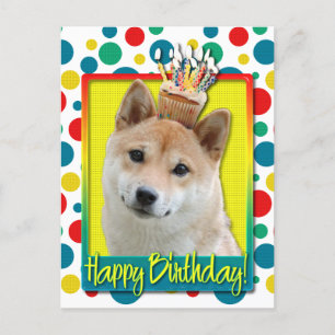 Birthday Cupcake - Shiba Inu Postcard