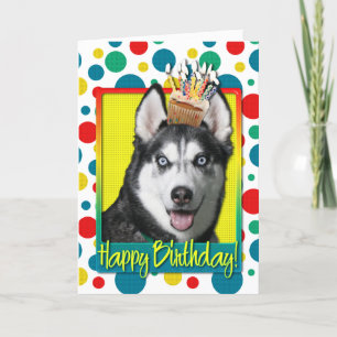 Birthday Cupcake - Siberian Husky Card