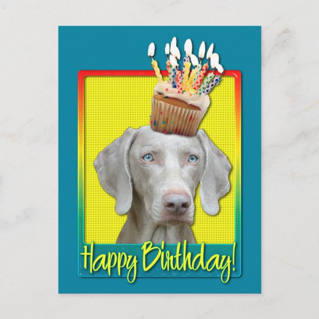 Birthday Cupcake - Weimeraner Postcard (Front)