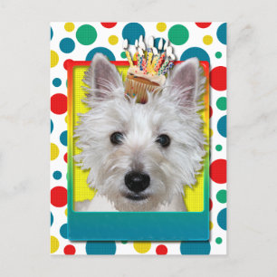 Birthday Cupcake - Westie - Tank Postcard