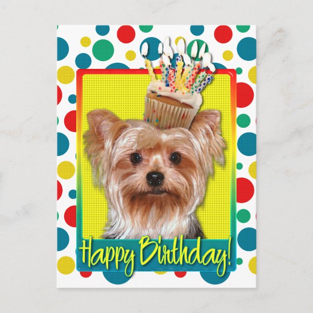 Birthday Cupcake - Yorkshire Terrier Postcard (Front)