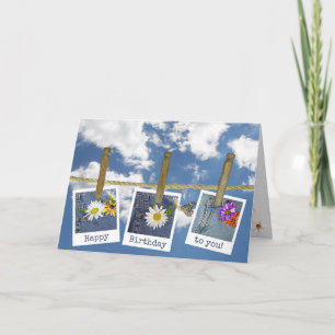 birthday daisy in photo frames on clothesline card