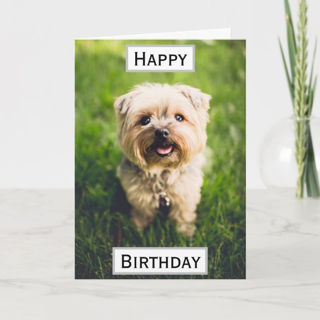 Birthday Dog Dad World's Best Ever Pet Photo Card (Front)