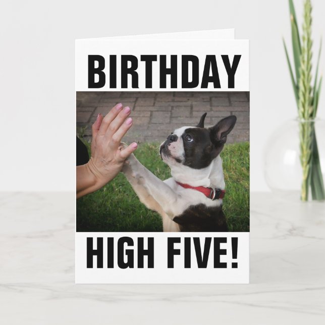  BIRTHDAY DOG HIGH FIVE FUNNY CARD (Front)