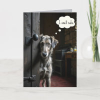 Birthday Dog Peeking Around a Door
