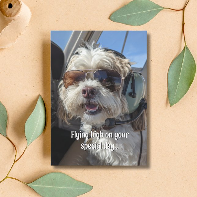 Birthday Dog Pilot Aviator Sunglasses Plane Funny Card (Creator Uploaded)