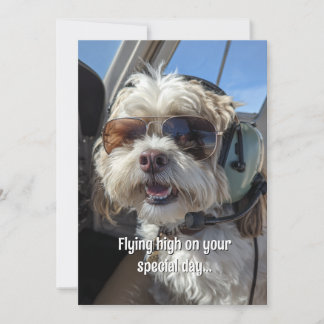 Birthday Dog Pilot Aviator Sunglasses Plane Funny Card