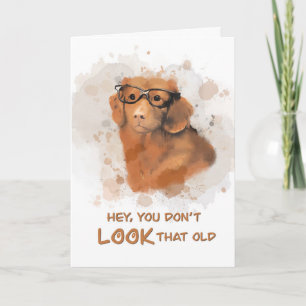 Birthday Dog You Don't LOOK old Card