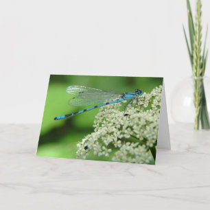 Birthday Dragonfly Card