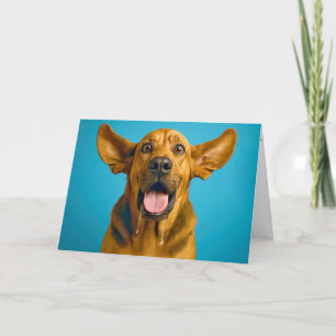 Birthday Drooling Bloodhound Humor Card
