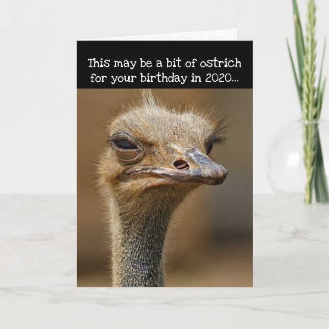 Birthday During 2020 Pandemic- Funny Ostrich Card (Front)