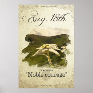Birthday flowers on August 18th "Edelweiss" Poster