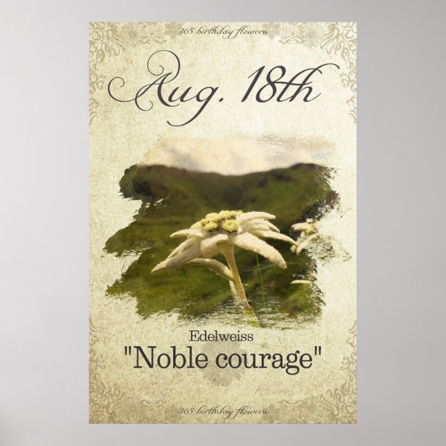 Birthday flowers on August 18th "Edelweiss" Poster (Front)