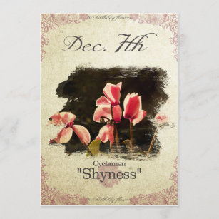 Birthday flowers on December 7th "Cyclamen" Card