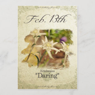 Birthday flowers on February 13th "Edelweiss" Card