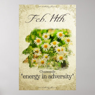 Birthday flowers on February 14th "Chamomile" Poster
