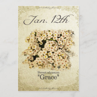 Birthday flowers on January 12th "Sweet alyssum" Card