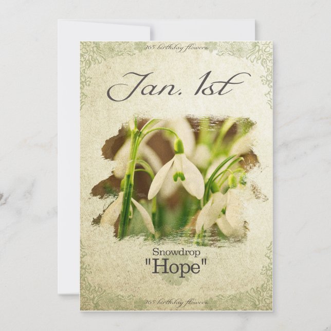 Birthday flowers on January 1st "Snowdrop" Card (Front)