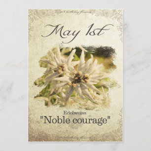 Birthday flowers on May 1st "Edelweiss" Card