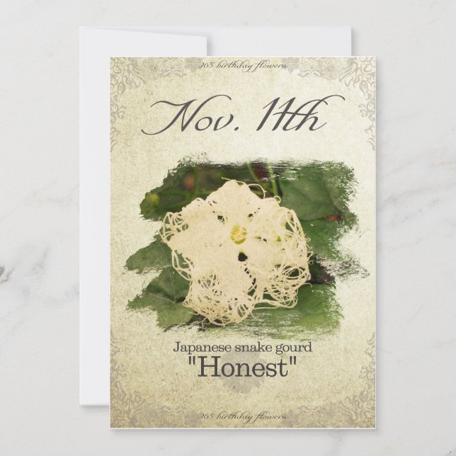 Birthday flowers on Nov.11th"Japanese snake gourd" Card (Front)