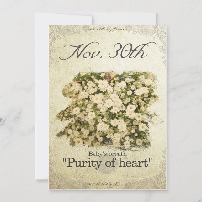 Birthday flowers on November 30th"Baby’s breath" Card (Front)