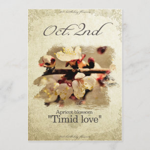 Birthday flowers on October 2nd "Apricot blossom" Card