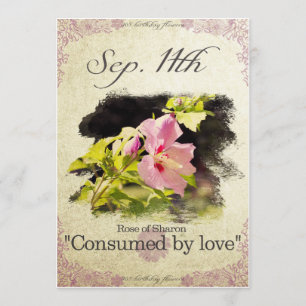 Birthday flowers on September 11th "Rose of Sharon Card