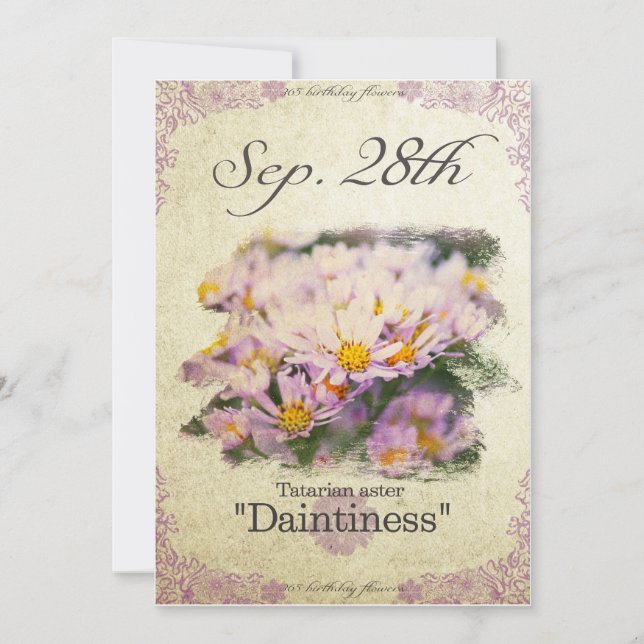 Birthday flowers on September 28th"Tatarian aster" Card (Front)