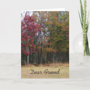 Birthday for a friend, fall trees. card