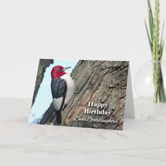 Birthday for Goddaughter, Red-headed Woodpecker Card (Front)